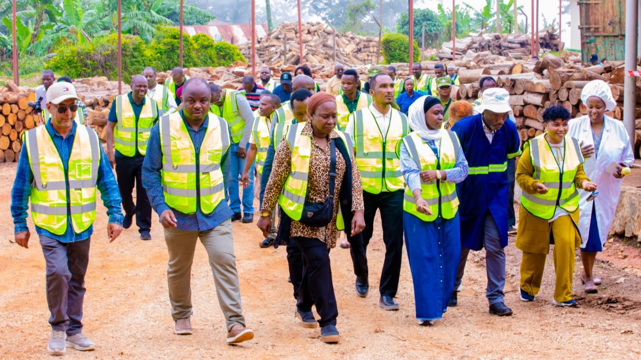 Labour, Employment and Relations